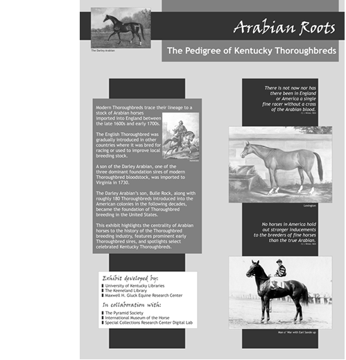 Arabian Roots: The Pedigree of Kentucky Thoroughbreds