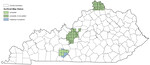 Kentucky Surficial Geologic Map Compilation Database (Version 1) by Matthew Massey