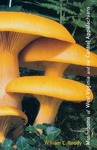 Mushrooms of West Virginia and the Central Appalachians by William C. Roody