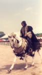 Arabian Tack on the Horse 2 by Roda Ferraro