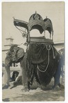 Maharaja’s Best Elephant with Umbabari, Jaipur by Mary Pattengill