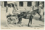 Ikka, Jaipur by Antoinette Paris Greider and Mary Pattengill